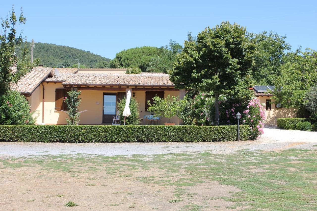 Agriturismo Casale Del Contadino Bolsena Exterior photo